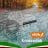 Studying in Kermanshah